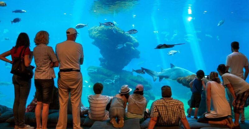 Mallorca: Palma Aquarium Tickets with Transfer - An In-Depth Look at the Experience