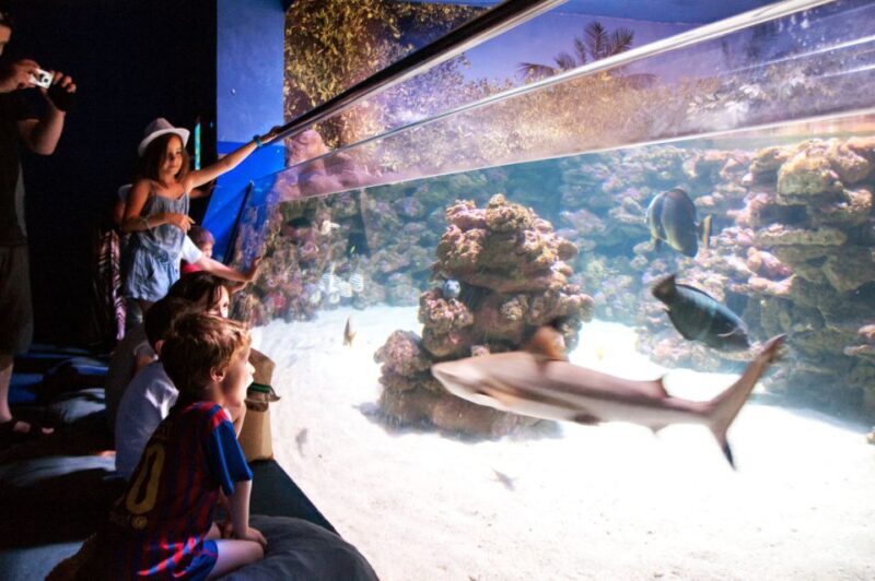 Mallorca: Palma Aquarium Tickets with Transfer - How the Tour Fits Into Your Mallorca Trip