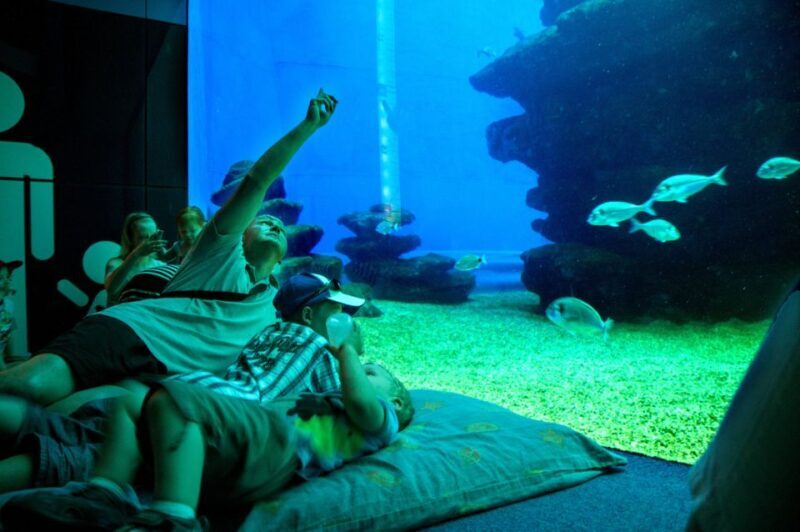 Mallorca: Palma Aquarium Tickets with Transfer - Who Should Consider This Tour?