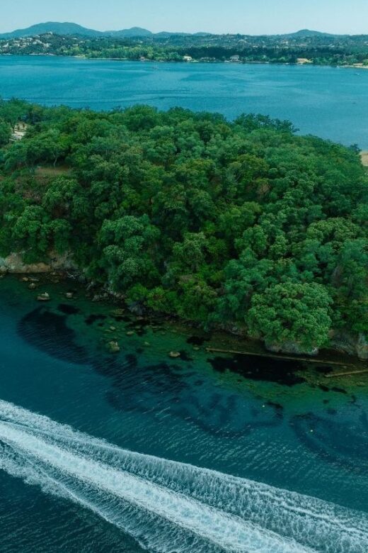 Mallorca: Private Half Day Cruise on Luxury Speed Boat - Key Points