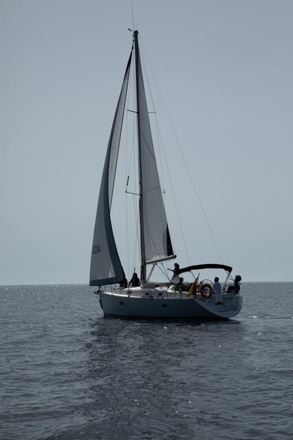 Mallorca: Private sailing trip with skipper - The Sum Up