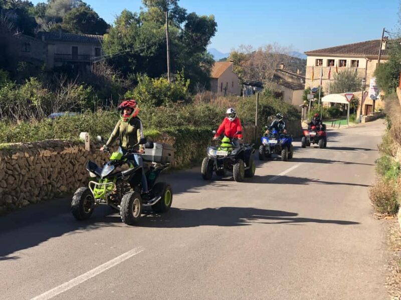 Mallorca: Quad Tour to the top of the mountain & swim - The Mountain Ascent and Views