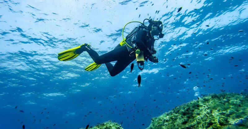 Mallorca: Scuba Dive Adventure Cap Formentor - 1 Dive (license required) - The Overall Value