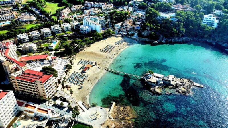 Mallorca: Scuba Diving for Beginners - Why This Tour Offers Great Value