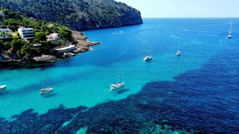 Mallorca: Scuba Diving for Beginners - Practical Tips for Your Booking