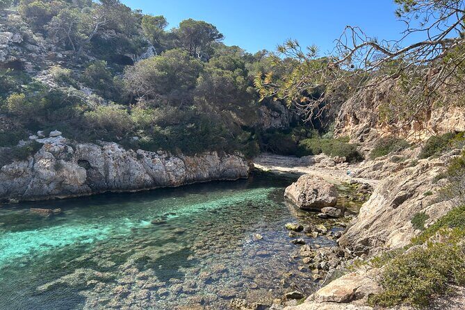 Mallorca Secret Coves Land Rover Private Tour - Who Is This Tour Best For?
