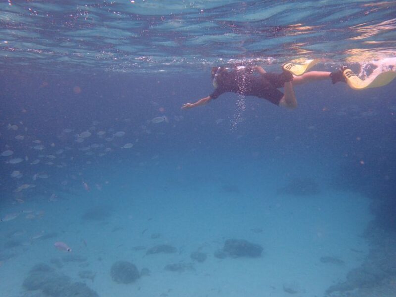 Mallorca: Snorkeling in a Beautiful Nature Reserve - Key Points