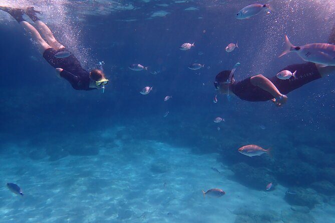 Mallorca: Snorkeling in a Beautiful Nature Reserve - The Benefits of All-Inclusive Equipment and Photos