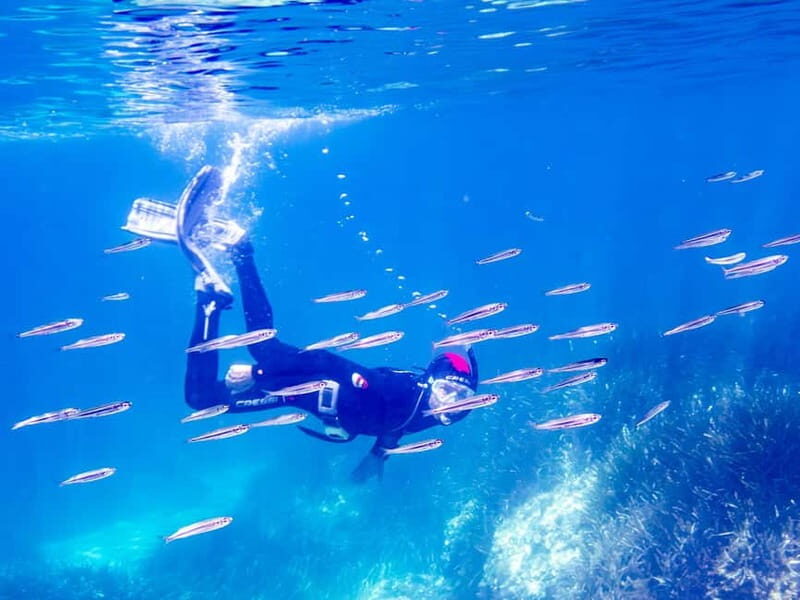 Mallorca: Snorkeling tour with instructor from a boat in a hidden bay - An In-Depth Look at the Experience
