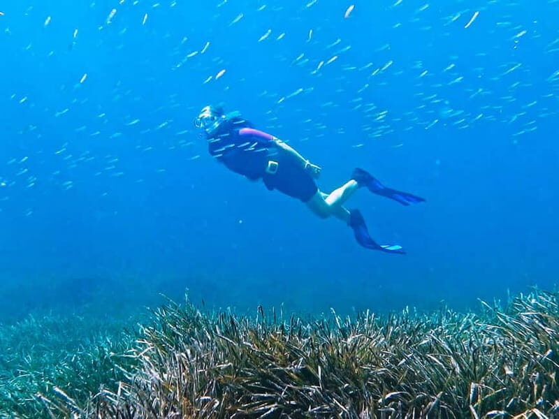 Mallorca: Snorkeling tour with instructor from a boat in a hidden bay - Final Thoughts