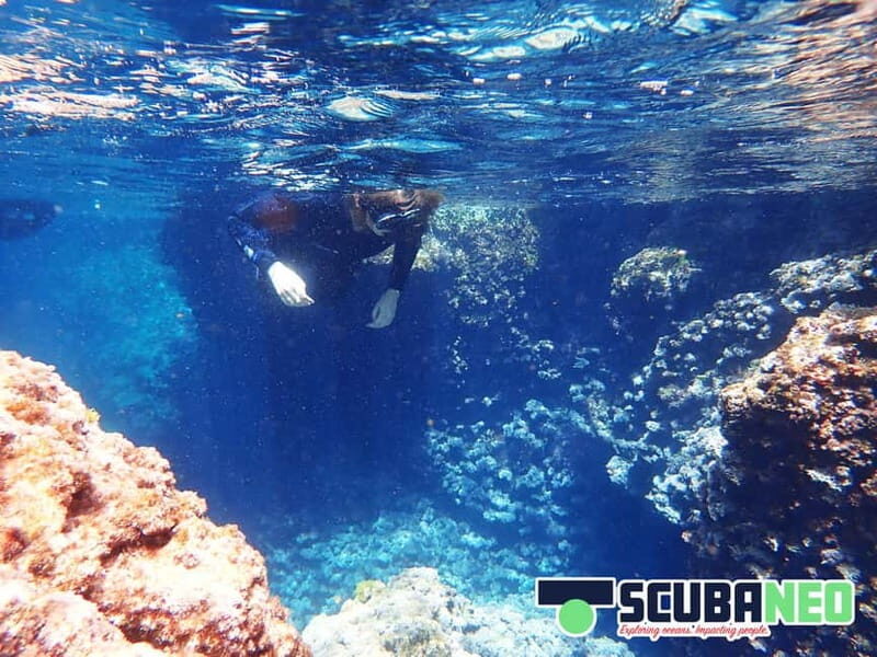 Mallorca: Snorkeling tour with instructor from a boat in a hidden bay - FAQs