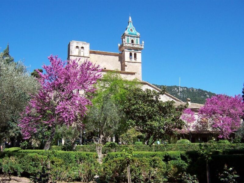Mallorca: Soller Port and Valldemossa - Introduction: Why Choose This Tour?
