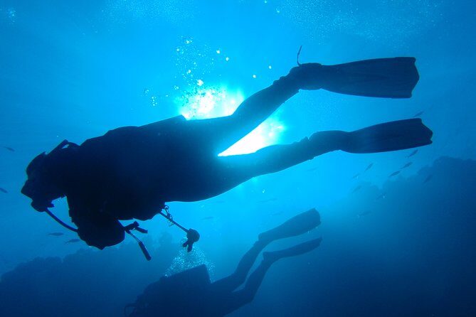 Mallorca: SSI Open Water Diver course - Key Points