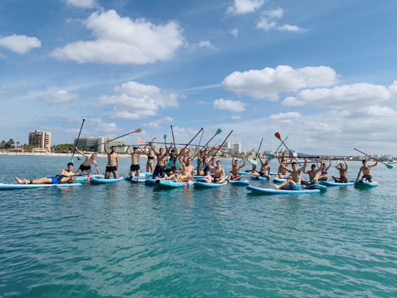 Mallorca: Stand Up Paddle Lesson (1H PRIVATE CLASS) - Key Points