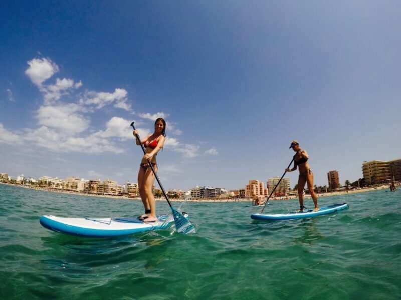 Mallorca: Stand Up Paddle Lesson (1H PRIVATE CLASS) - The Sum Up