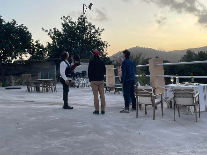 Mallorca: Sunset excursion, horse show, and falconry. - Key Points