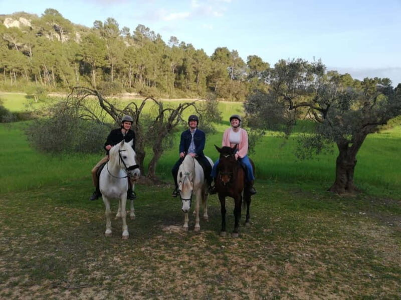 Mallorca: Sunset excursion, horse show, and falconry. - FAQ