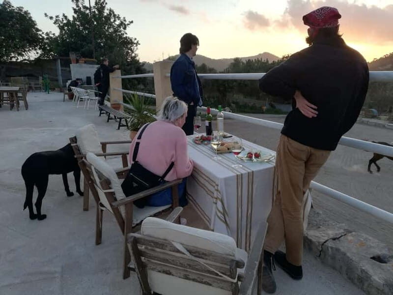 Mallorca: Sunset excursion, horse show, and falconry. - Final Thoughts