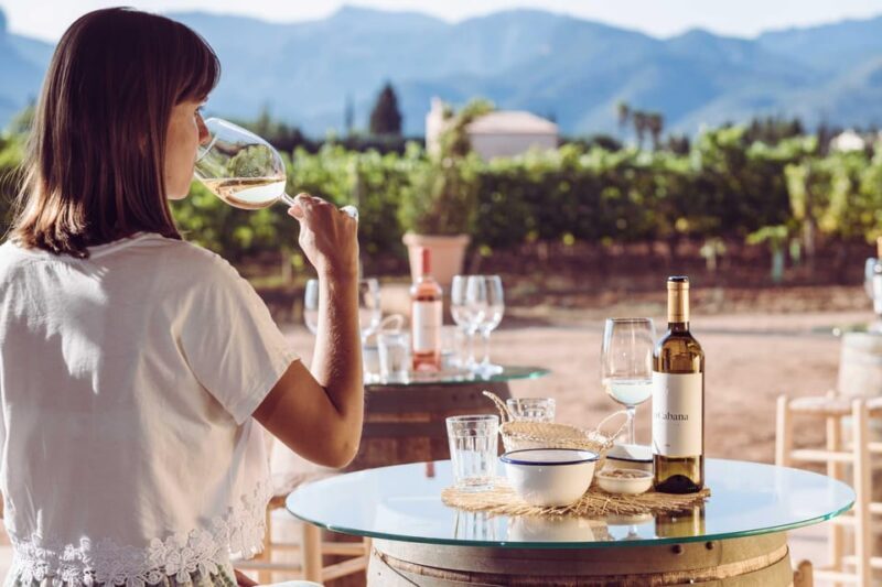 Mallorca: Sunset Wine Tasting Minibus Tour - ENGLISH GUIDE - An Overview of the Experience