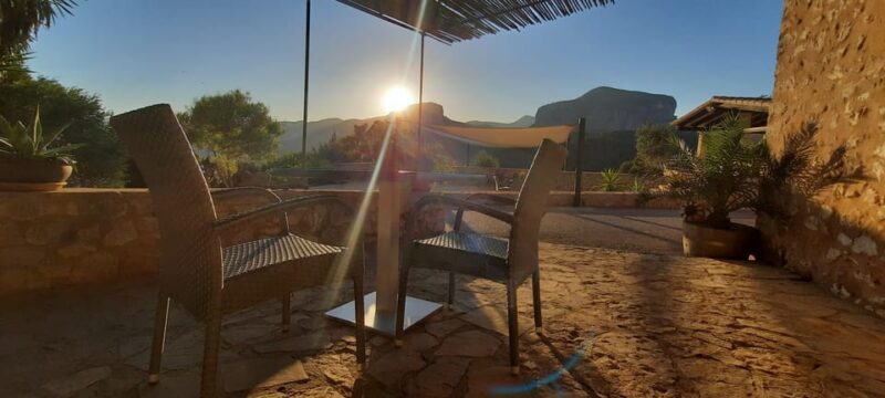 Mallorca: Sunset Wine Tasting Minibus Tour - ENGLISH GUIDE - What Makes This Tour Stand Out?