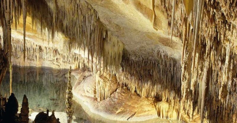 Mallorca: Ticket for Caves of Drach with Pickup Service - Exploring the Caves of Drach: What You Can Expect