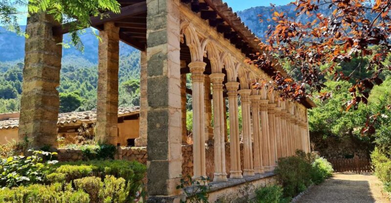 Mallorca: Tramuntana Mountains Tour with Local Guide & Lunch - Transportation & Group Dynamics