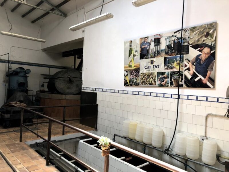 Mallorca: Tramuntana Mountains Tour with Local Guide & Lunch - Who Would Love This Tour?