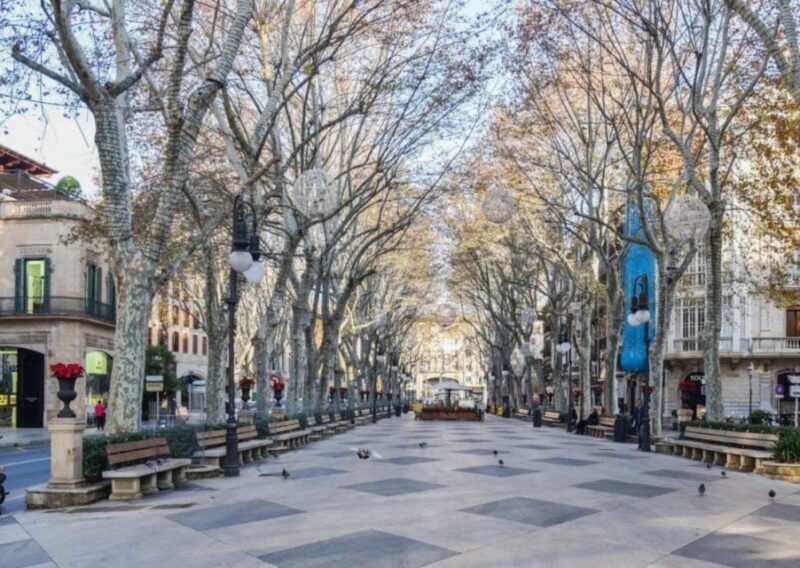 Mallorca: Transfer to Palma self-guided Tour - What to Expect from the Self-Guided Tour