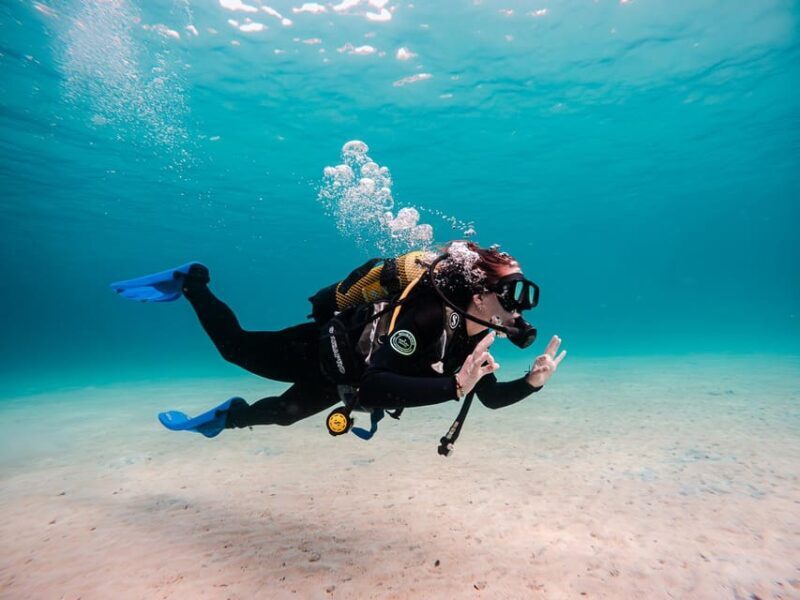 Mallorca: Try Scuba Diving by Boat - An Underwater Experience with Real Value