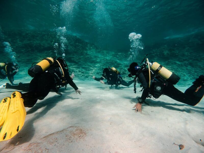 Mallorca: Try Scuba Diving by Boat - Why This Tour Offers Great Value