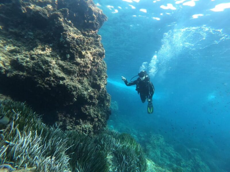 Mallorca: Try Scuba Diving by Boat - Who Will Love This Experience?