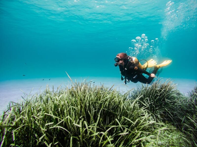 Mallorca: Try Scuba Diving by Boat - Final Thoughts