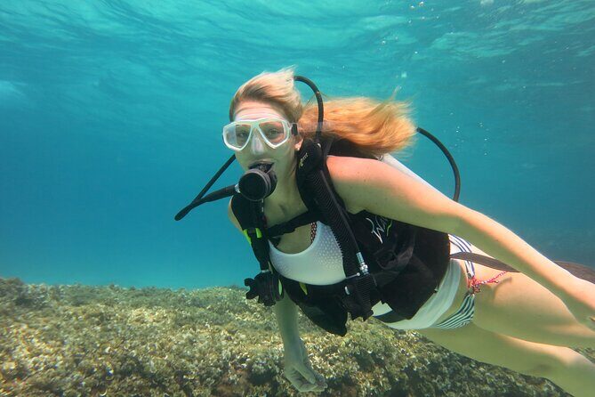 Mallorca: Try Scuba Diving in a Beautiful Nature Reserve - Why This Tour Offers Good Value