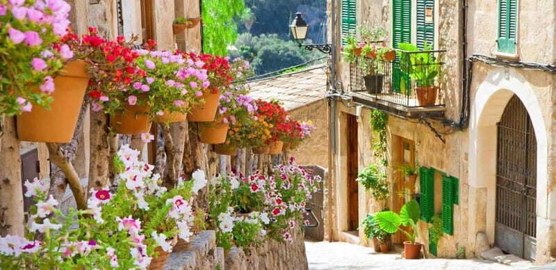 Mallorca: Valldemossa and Wine Tasting - Ultra Small group - Why This Tour Offers Good Value