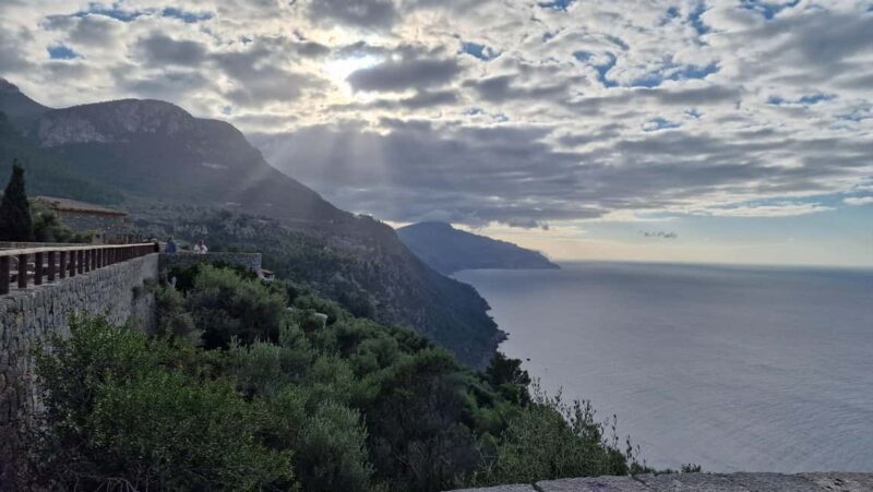 Mallorca: West Coast & Orange Valley Minbustour - The Sum Up