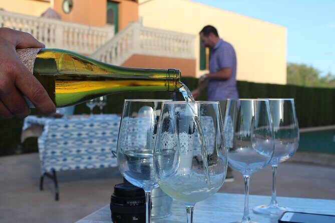 Mallorca Wine and Cheese Tasting - Final Thoughts: Is It Worth It?