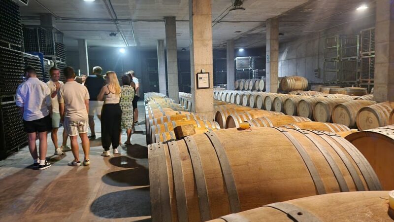 Mallorca: Wine Cellar Tour XL - including 3 Wine Tastings - Who Should Consider This Tour?