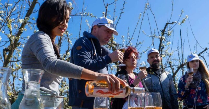 Mallorcas Emblematic Wineries Small Group Tour, two wineries - Key Points