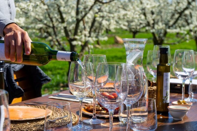 Mallorcas Emblematic Wineries Small Group Tour, two wineries - Why This Tour Is a Great Choice