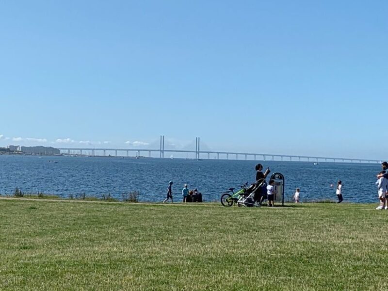 Malmö: 3-Hour Guided Walking Tour - A Deep Dive into the Malmö 3-Hour Guided Walking Tour