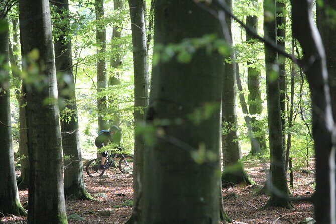 Malmo Bike Rental - Final Thoughts