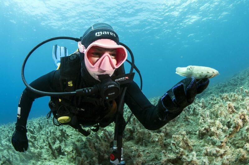 Malta: 1-Day PADI Scuba Diver Certification Beginner Course - The Itinerary and Whats Included