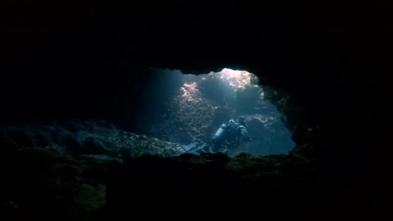 Malta: 2 Guided Dives for Certified Divers with Diving Gear - Key Points