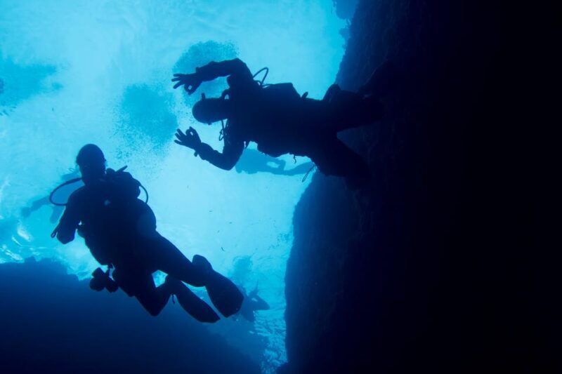 Malta: 2 Guided Dives for Certified Divers with Diving Gear - Exploring the Underwater World of Malta: A Detailed Look