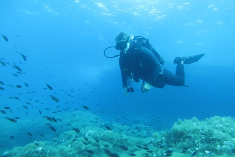Malta: 2 Scuba Fun Dives for Certified divers - Key Points