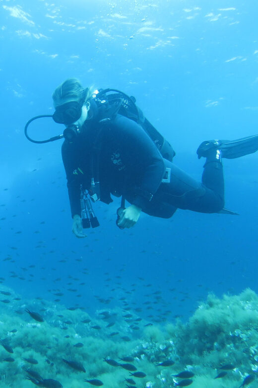 Malta: 2 Scuba Fun Dives for Certified divers - Who Should Consider This Tour?
