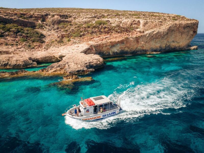 Malta: Boat Dive Trip for Certified Divers - Key Points