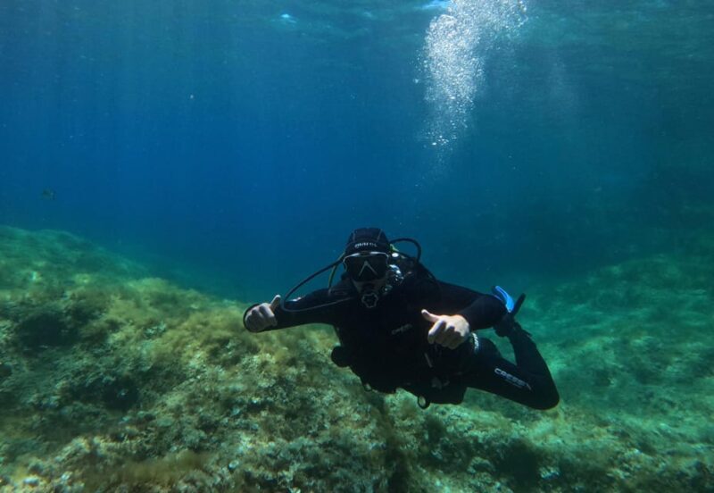 Malta: Boat Dive Trip for Certified Divers - An In-Depth Look at the Malta Boat Dive Trip