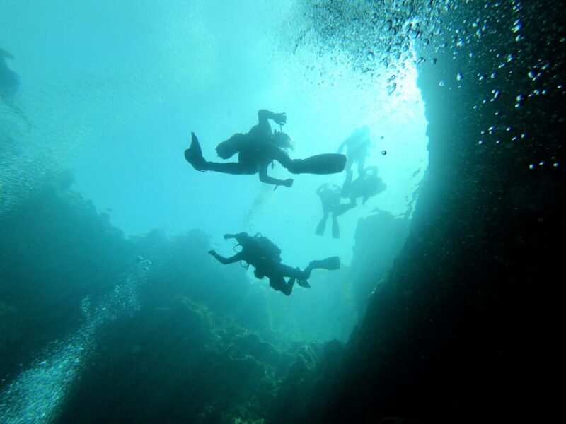 Malta: Boat Dive Trip for Certified Divers - Who Should Consider This Trip?