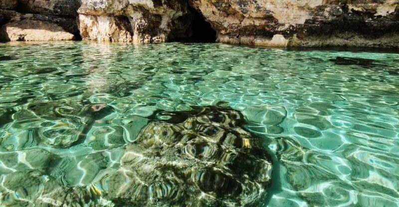 MALTA Comino BlueLagoon 3 hours Private Boat trips - A Deep Dive into the Malta Private Boat Tour